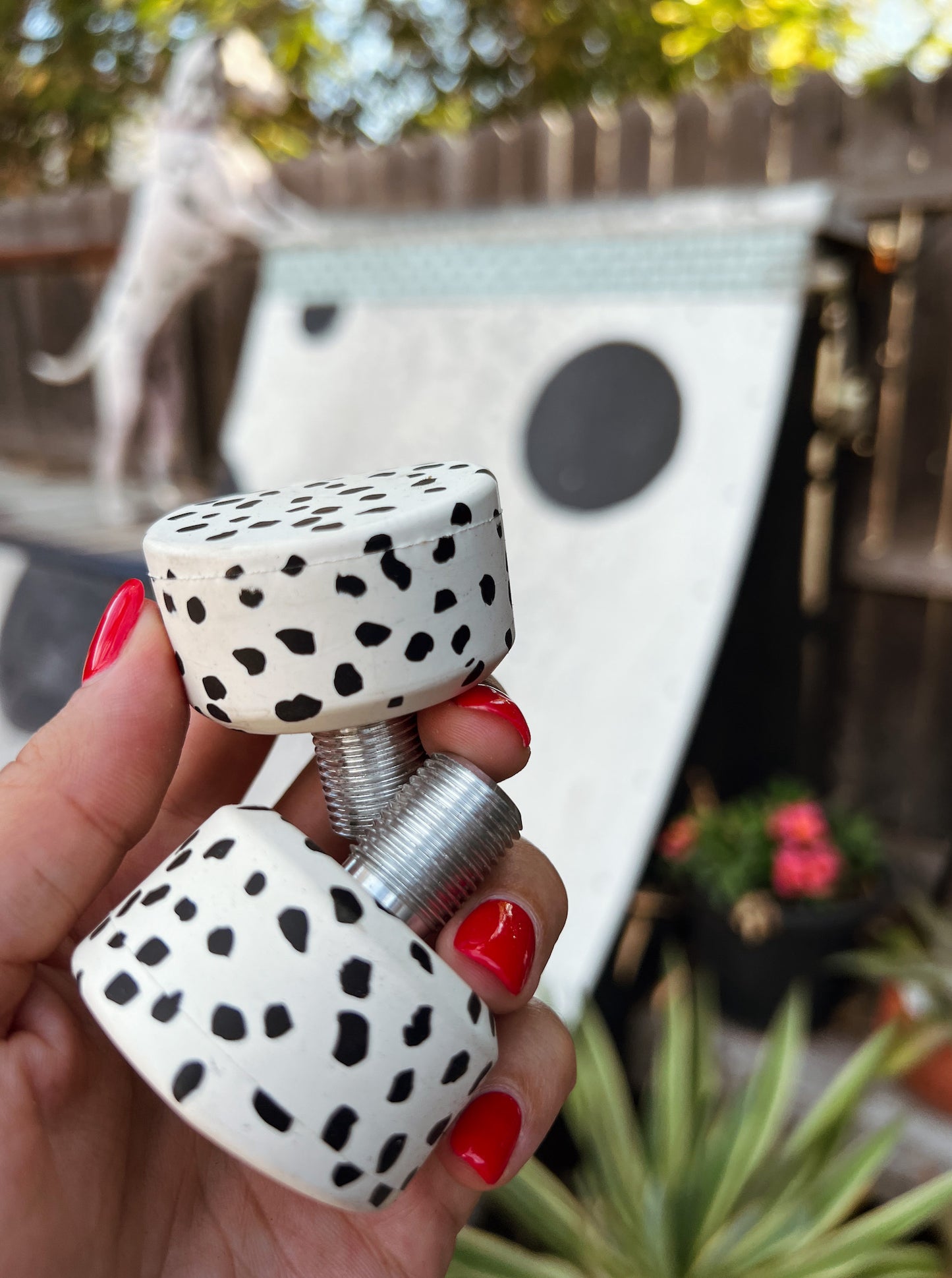 Dalmatian Spotted Toe-Stops