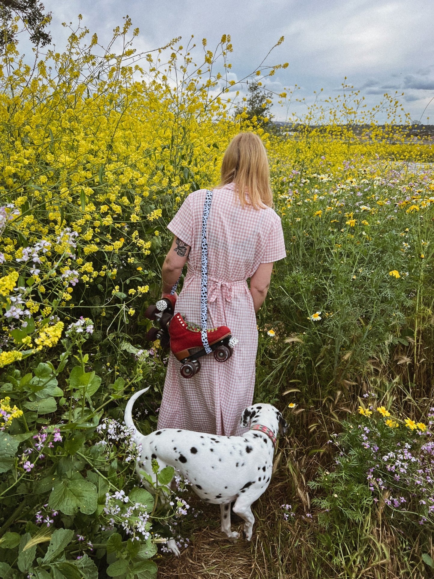 Dalmatian Print Skate Leash